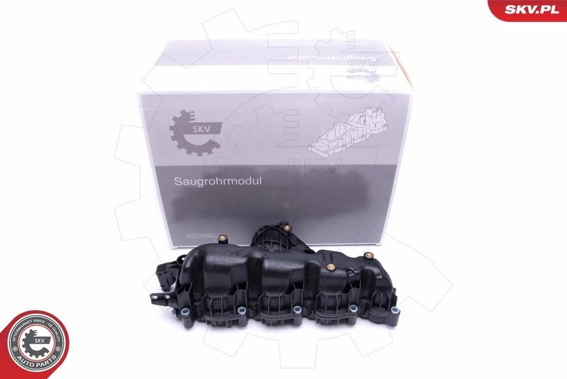 Intake Manifold Module